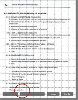 imagen escaneada picasa