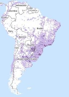 mapa movil