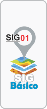 sig basico